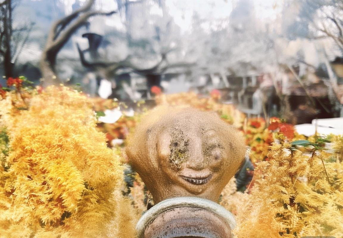 拜仁慕尼黑意外败给国米，意甲崛起迹象显现